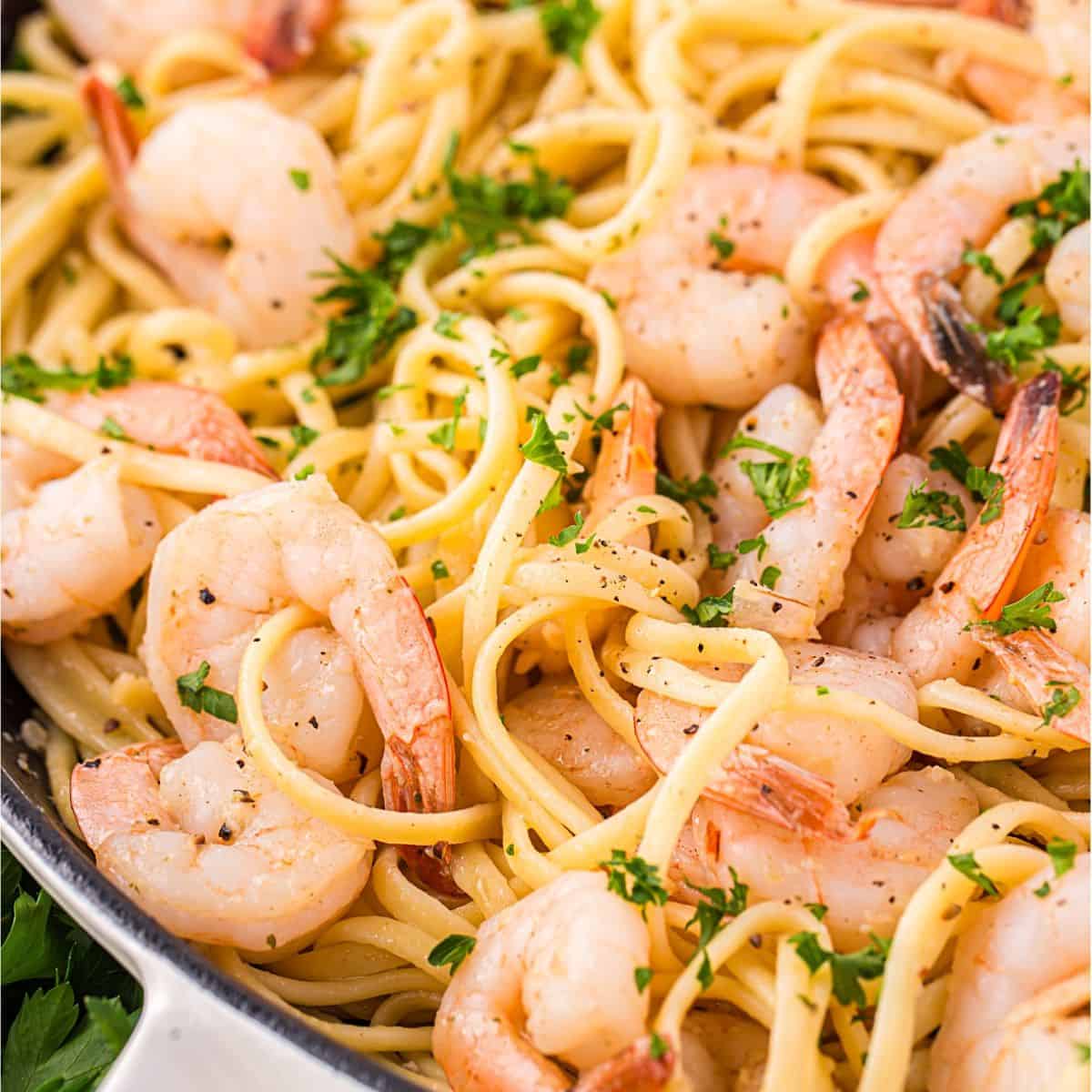 Close up of shrimp linguine with parsley